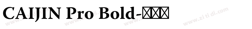 CAIJIN Pro Bold字体转换